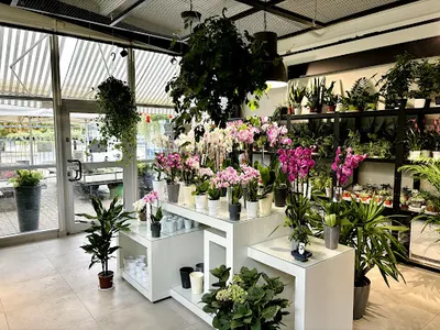Kwiaciarnia Poznań - Różany Zakątek